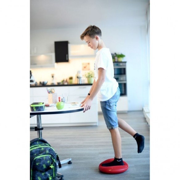 Plateau d'équilibre multi fonctionnel Balancefit® - Sissel