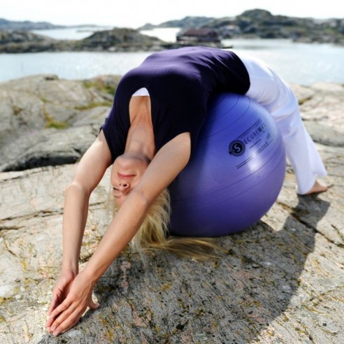 Ballon de Gymnastique Securemax® Sissel | ADAM Orthopédie & Matériel Médical