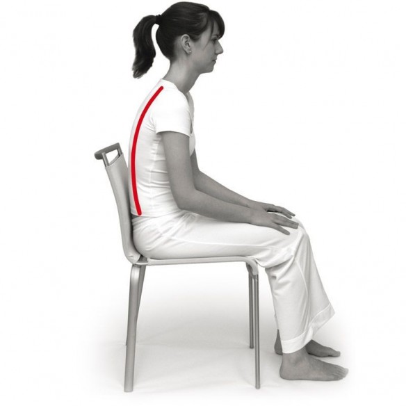 Coussin assise Coccyx SPÉCIAL SIT 2 en 1 - Sissel | ADAM Orthopédie & Matériel Médical