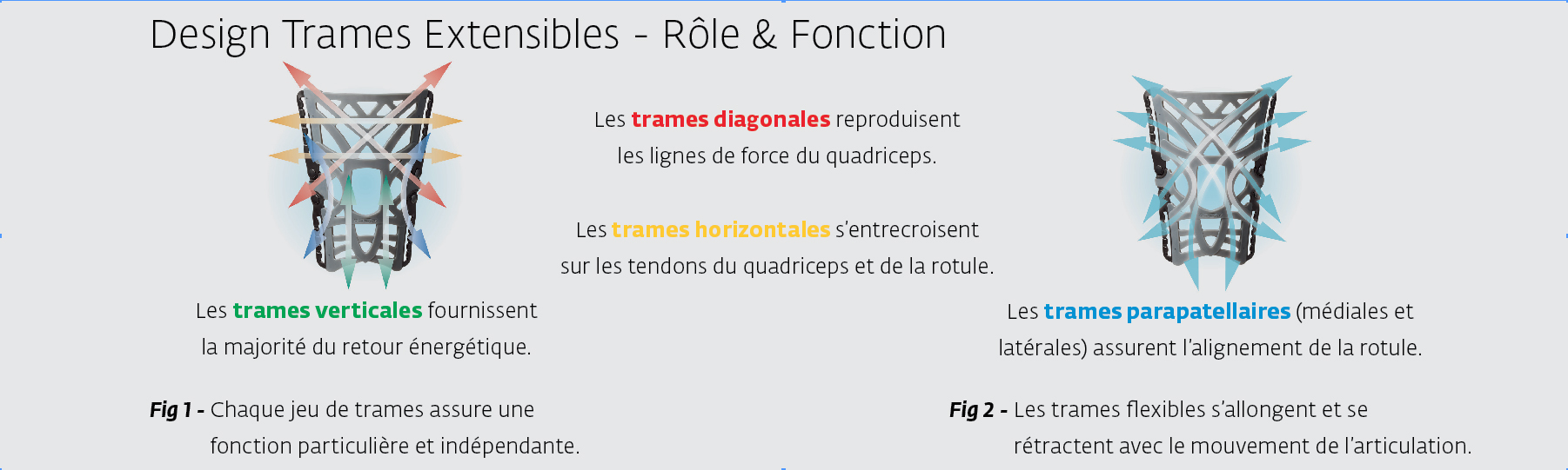 trames de la genouillère Réaction : principe et fonctions